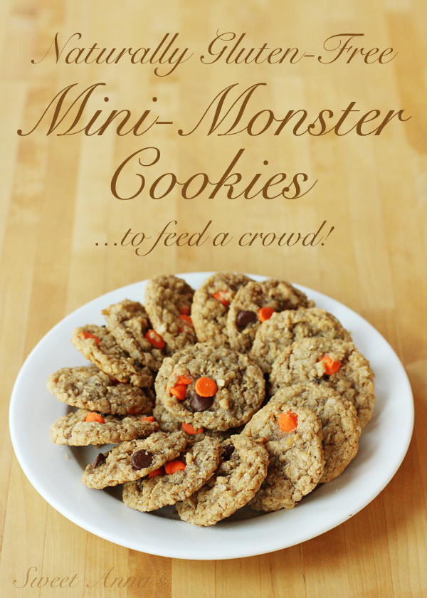 naturally gluten-free mini monster cookies | Sweet Anna's