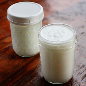homemade whipped coconut oil body butter