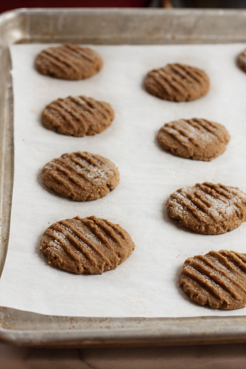 Gluten Free Chewy Molasses Cookies | Sweet Anna's